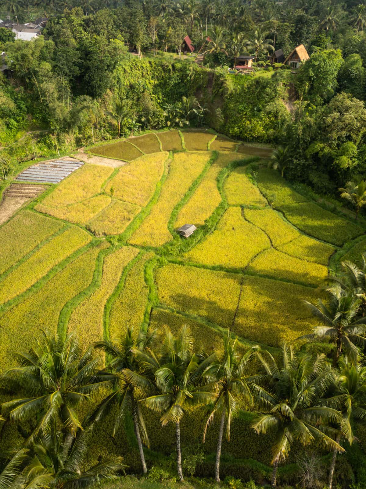 Tete Batu Village Tour
